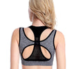 Professional Mesh Fitness Layered Sports Bra